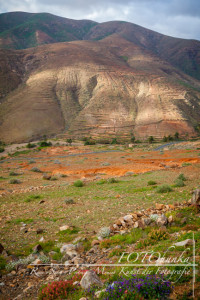 Wandertour auf Fuerteventura - Reisetipps von TRAVELhunka